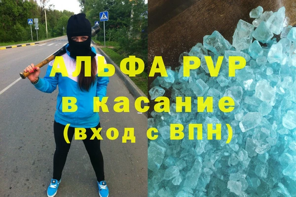 гидра Алексин