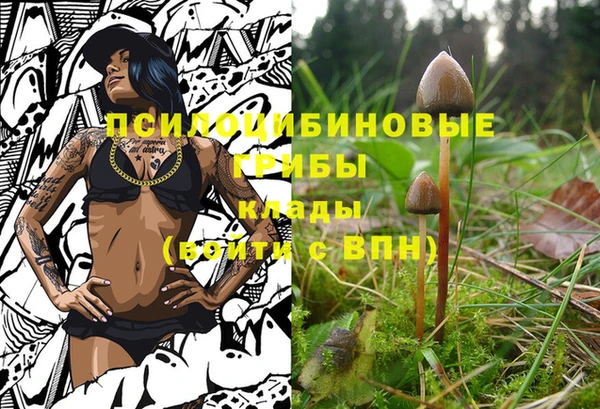 круглые Саяногорск